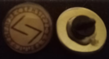 Elder Futhark Rune Pins