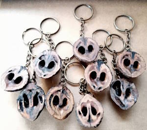 Black Walnut Keychains