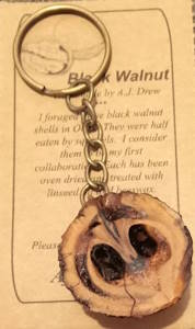 Black Walnut Keychains