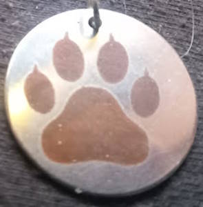 Paw Prints (25mm / 1 inch silvertone)